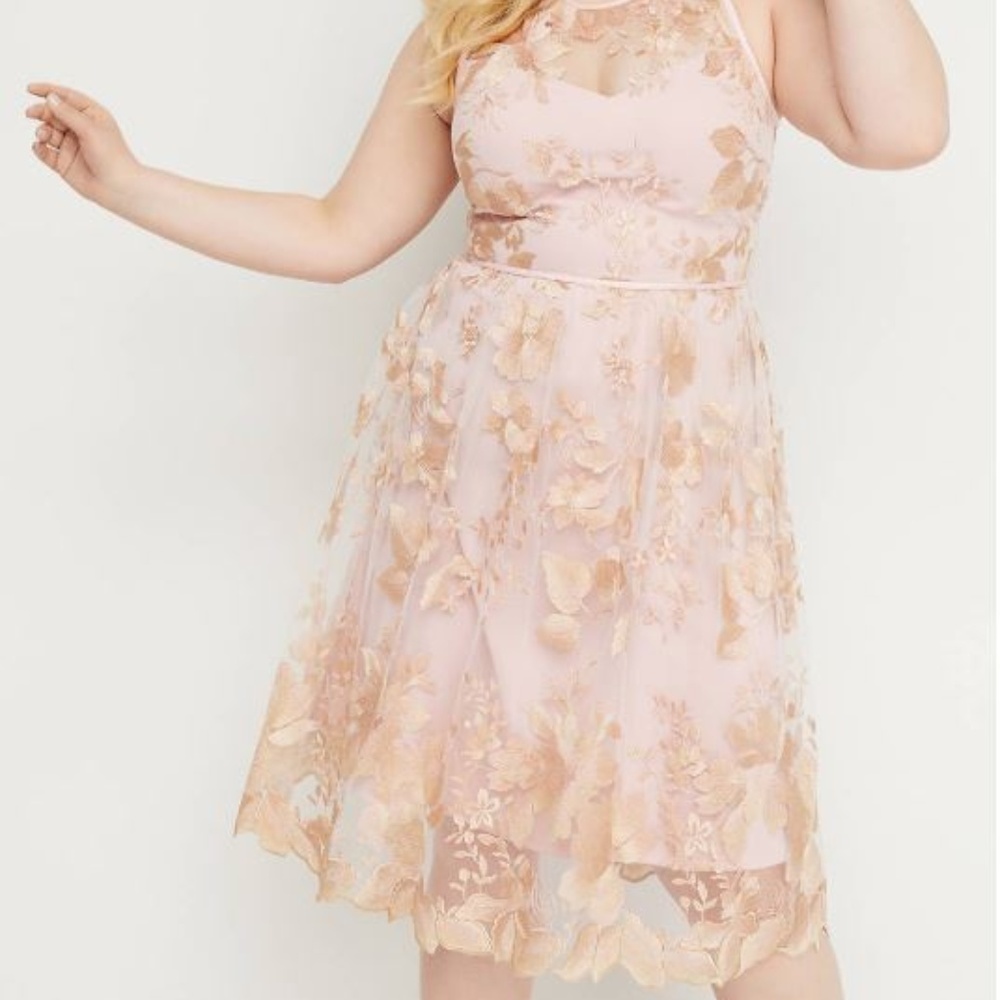 Embroidered Mesh Fit and Flare Dress